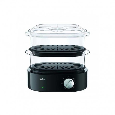Braun Steamer FS5100BK